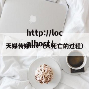 天媒传媒mv（人死亡的过程）